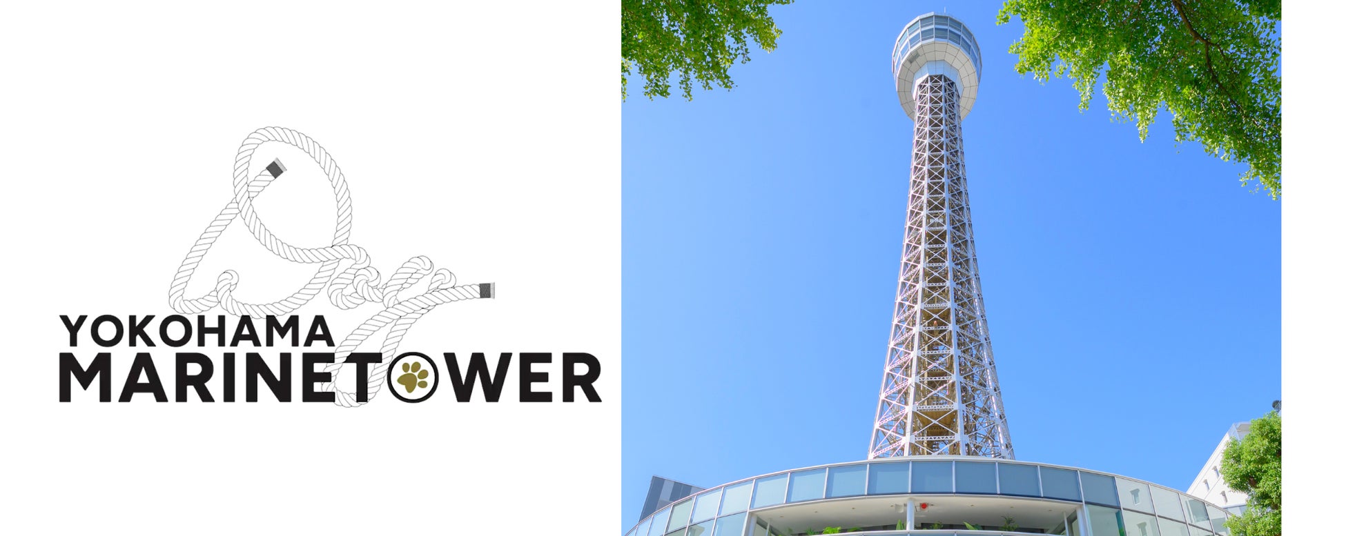 【青森屋】運行10周年!青森各地域自慢の「あで」と地酒で、雪景色を堪能する「酒のあで雪見列車」今冬も運行