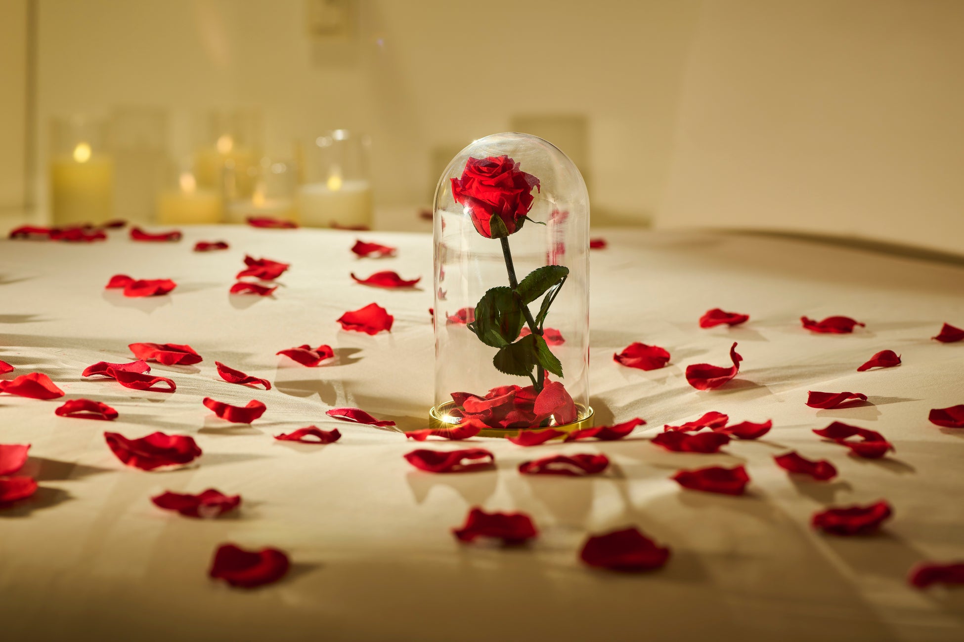 【10月6日】観光地経営人材認証(Dスタディ) 始動!