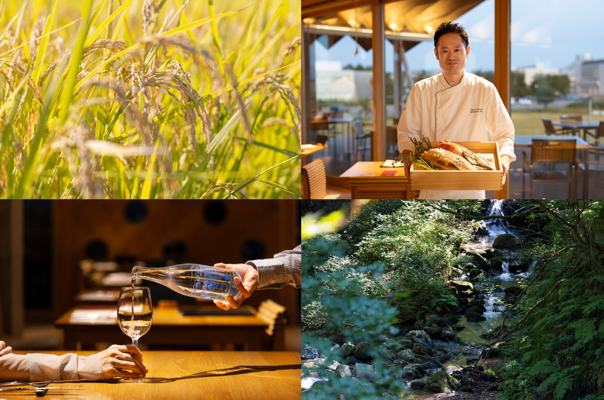 【「職業観」を育む職業体験プログラム】中学生を対象に『いにしえの宿 佳雲・お宿 月夜のうさぎ』で10月6日~8日に開催