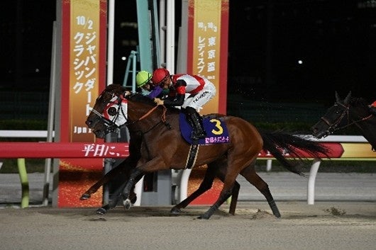 実力ある地方馬・中央馬が集結！3夜連続のダートグレード競走！！
