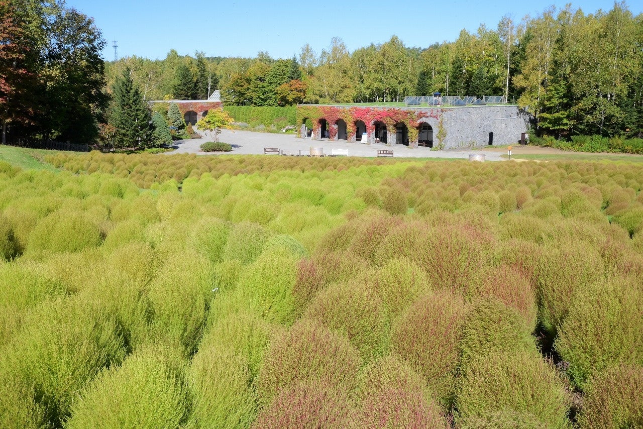 【鳥羽国際ホテル】ホテルの味をご自宅で楽しむ「クリスマスパーティセット」をご用意！