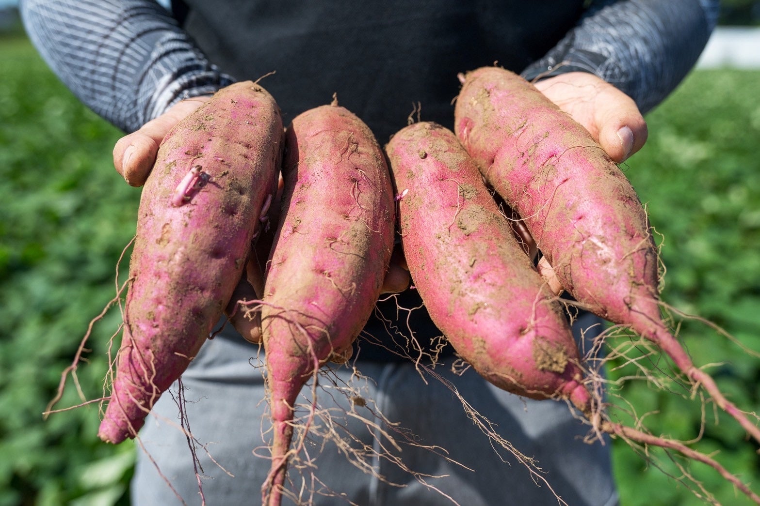 『WASIMIL』が美和ロックの時限キー配信システム【キーポ】と連携：省人化・セキュリティ強化を両立するスマートな鍵管理へ