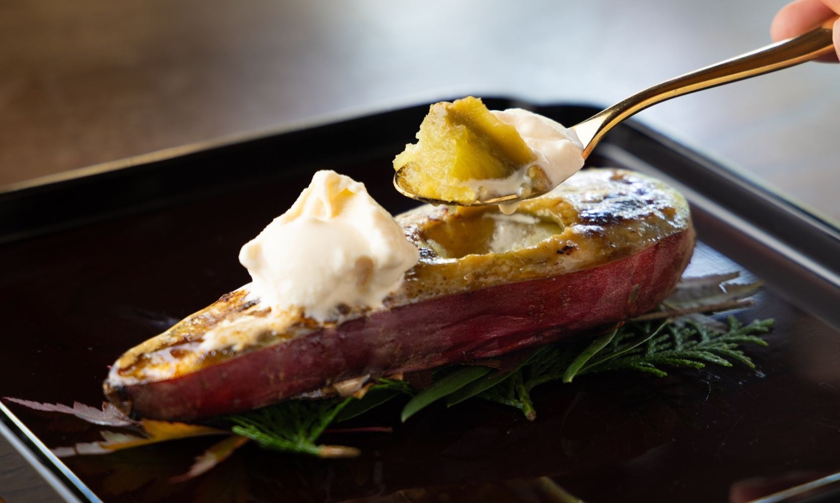 高知龍馬空港にセルフWi-Fiレンタル「WiFiBOX」設置　10月2日よりサービス開始