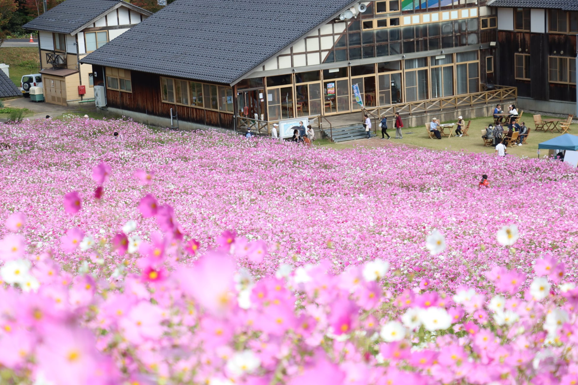AI時代に求められる「人間力」を親子でのばす「焚き火の森の冒険キャンプ」が帰ってくる！
