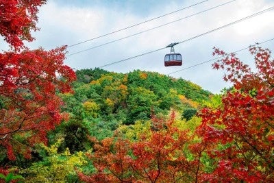 昭和100年プロジェクト／秩父湯元 武甲温泉に、秩父で100年続く老舗食堂「パリー食堂」監修の昭和レトロメニューが登場