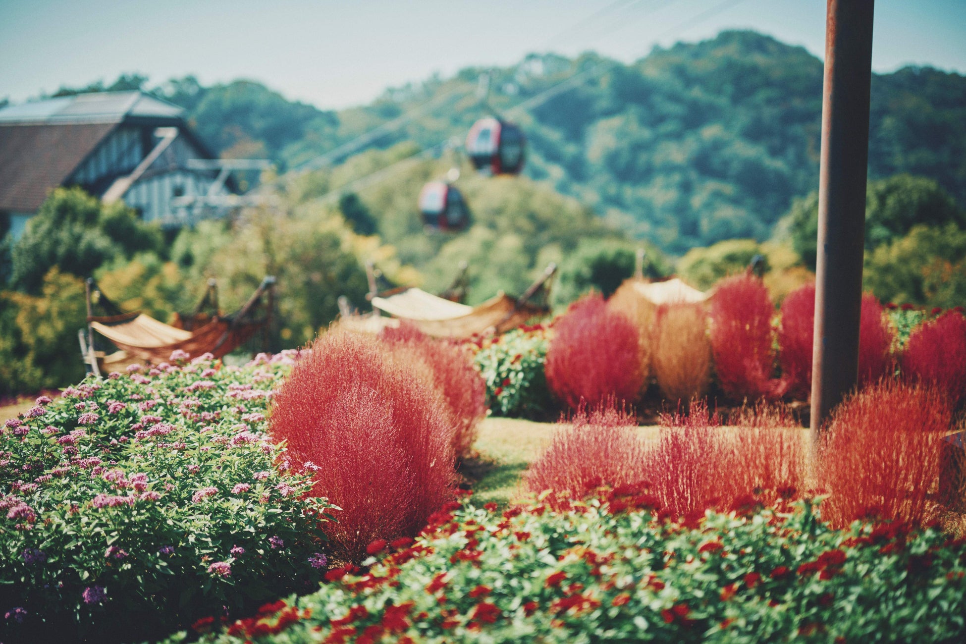 わっ！うまか！新ジャンル「もつ鍋ちゃんぽん」累計2万杯突破！記念してプレゼントキャンペーンするばい！！