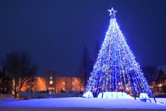 【鬼押出し園】マジックアワーから星降る夜へ
