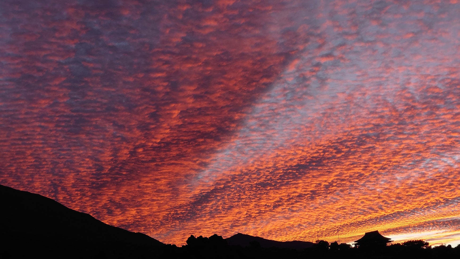 【妙高杉ノ原スキー場】妙高の紅葉を満喫「妙高杉ノ原ゴンドラ」紅葉営業 10月11日(土)から営業開始