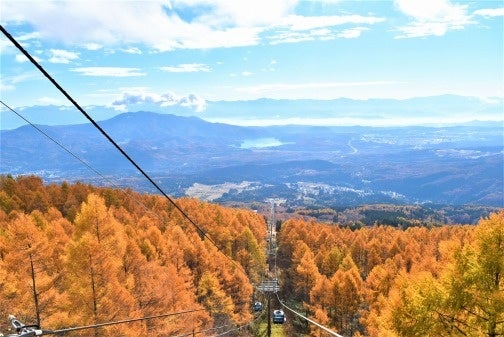 JAL、成田=デリー線を開設