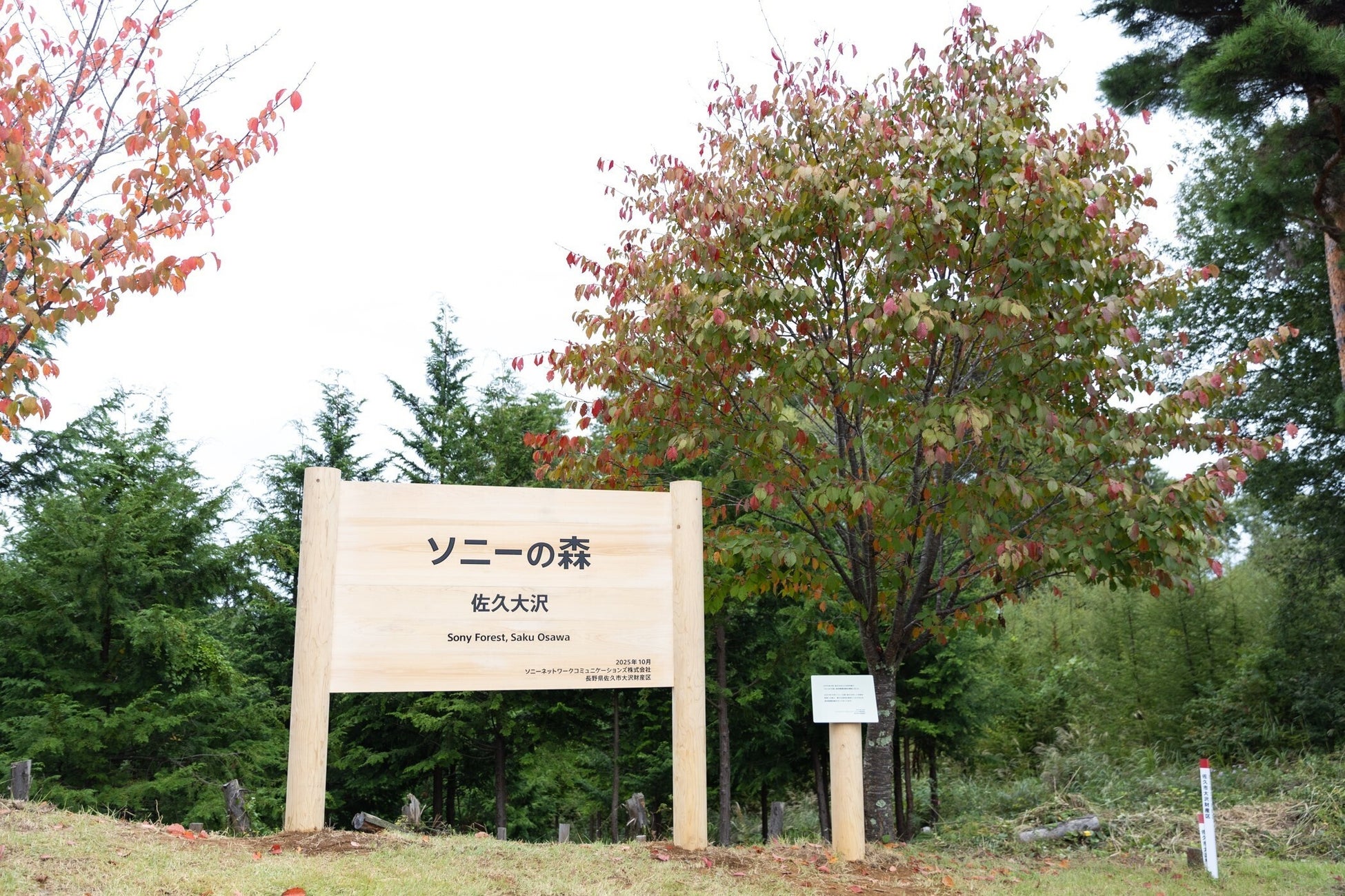 【異例の反響】子どもたちの未来へ繋ぐ、入間航空祭「徒歩3分駐車場」が早くも満枠に！