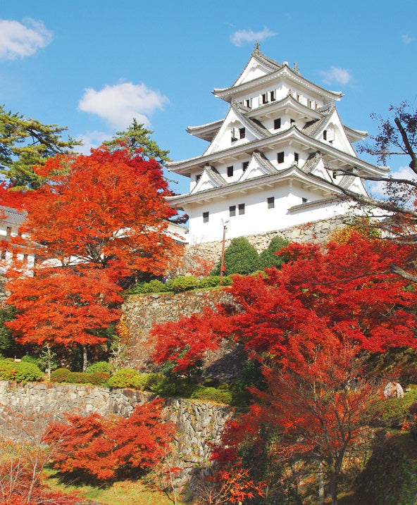 傘ブランド「Wpc.」初!JR新大阪駅の自動販売機で傘の販売を開始