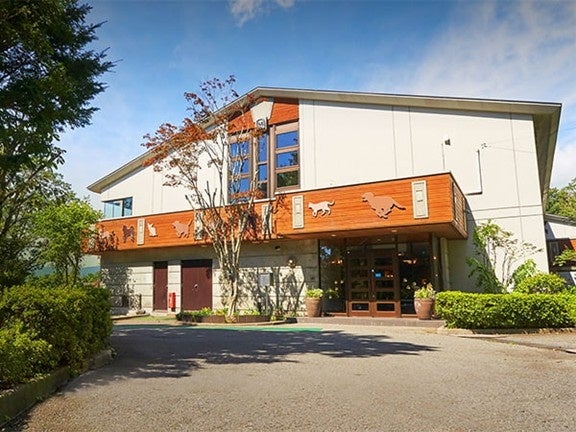 ハンモックのような座り心地！コンパクト収納で持ち運びも楽々な「SNOOPY バケットチェア-BF」新発売！