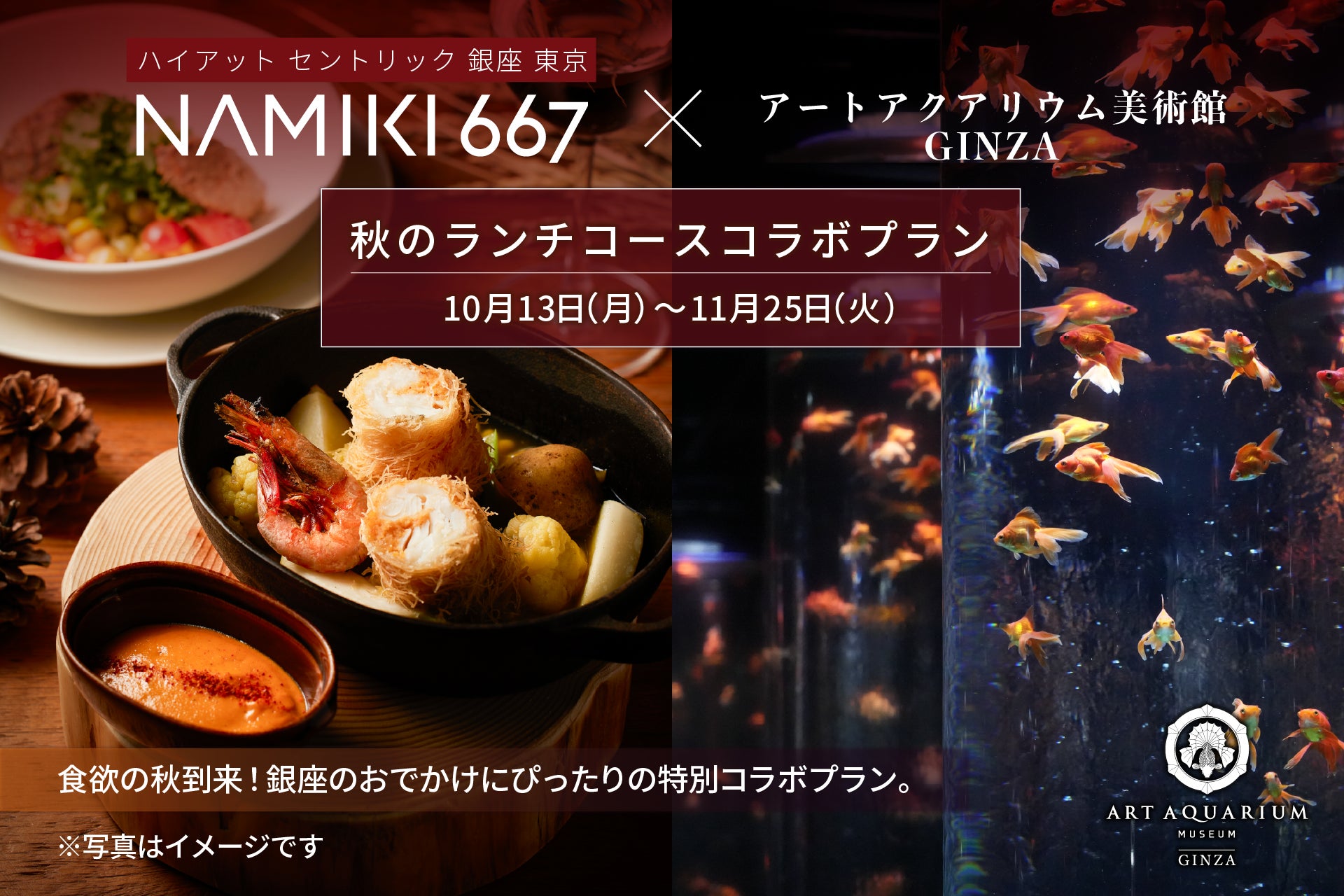 【アートアクアリウム美術館 食の秋コラボ第二弾】ハイアット セントリック 銀座 東京 NAMIKI667の秋ランチとアートアクアリムの金魚アート鑑賞で秋の銀座満喫プラン♪