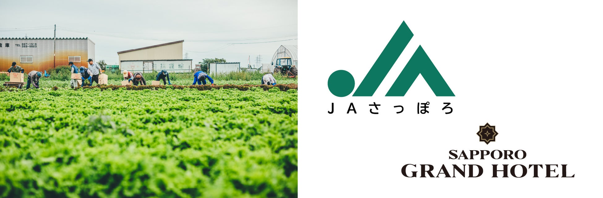 【国内最大級】 UFO フェスティバル２０２５ 開催決定！