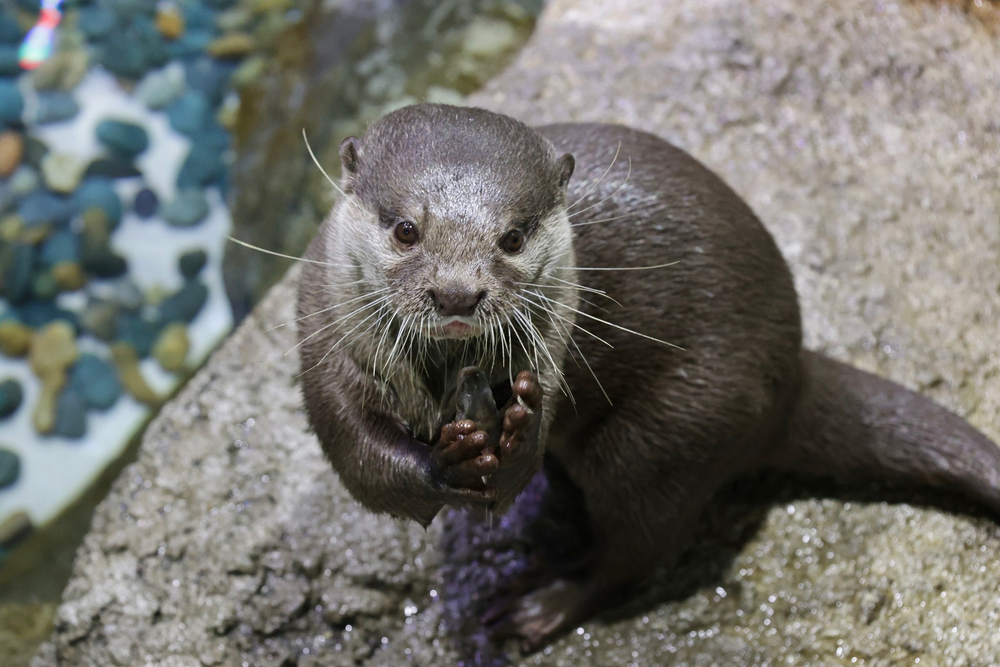 「ホテルメトロポリタン 大井町トラックス」 2026年3月28日（土）開業　～2025年10月9日（木）宿泊予約開始～