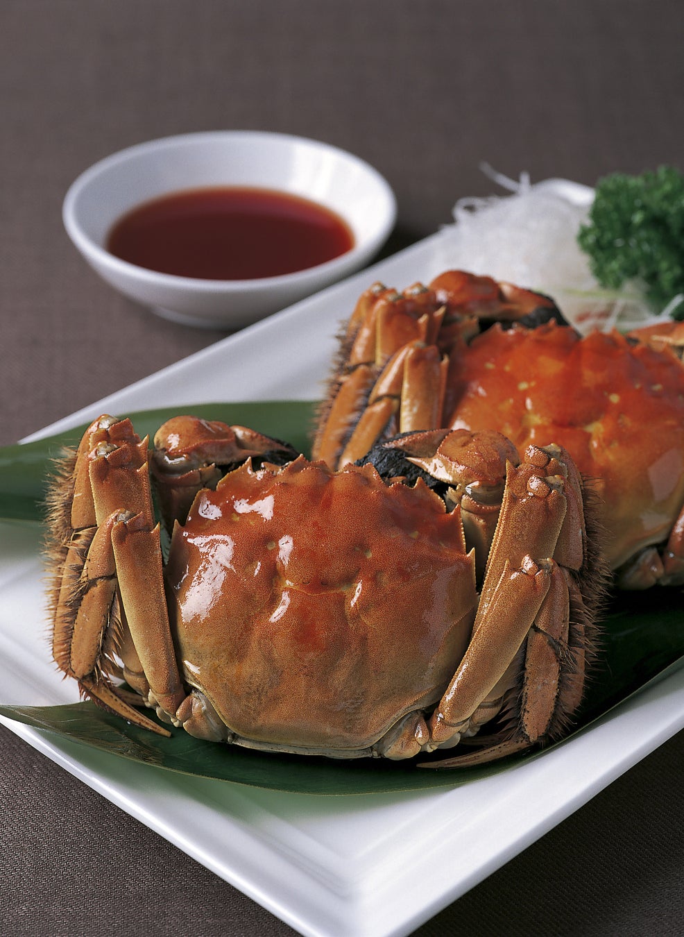 西尾の抹茶と歴史を楽しむ2日間「にしお城まつり」と「西尾の抹茶の日」を同時開催!~両日で約100店舗が集う抹茶マルシェや抹茶の飲み比べ体験を実施~