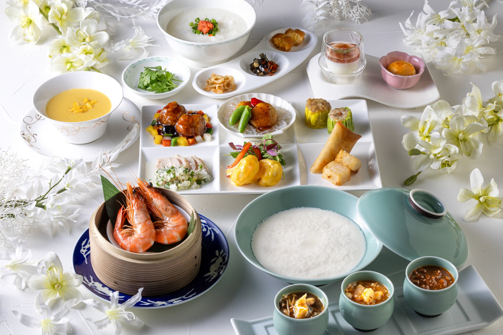 【同朋大学】イルカと触れ合ってアニマルセラピー体験してみませんか？