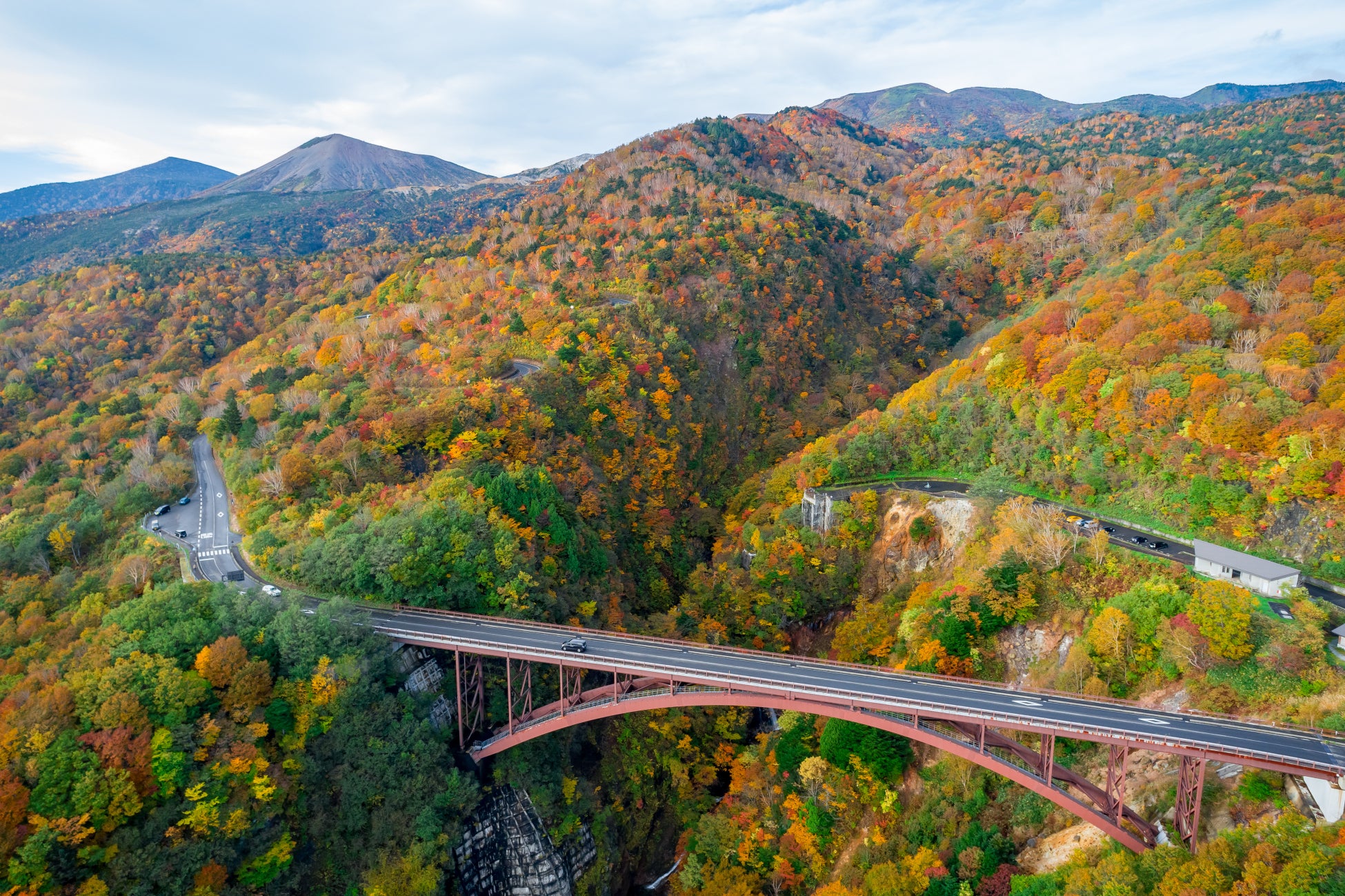 【同朋大学との共同実施】イルカセラピーの体験イベントを実施します。2025年10月11日（土）＜愛知＞