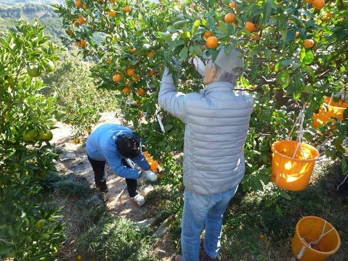 【フォーシーズンズホテル大阪】コンデナスト・トラベラー 2025 リーダーズ・チョイス・アワード「日本トップホテル部門」第10位に選出
