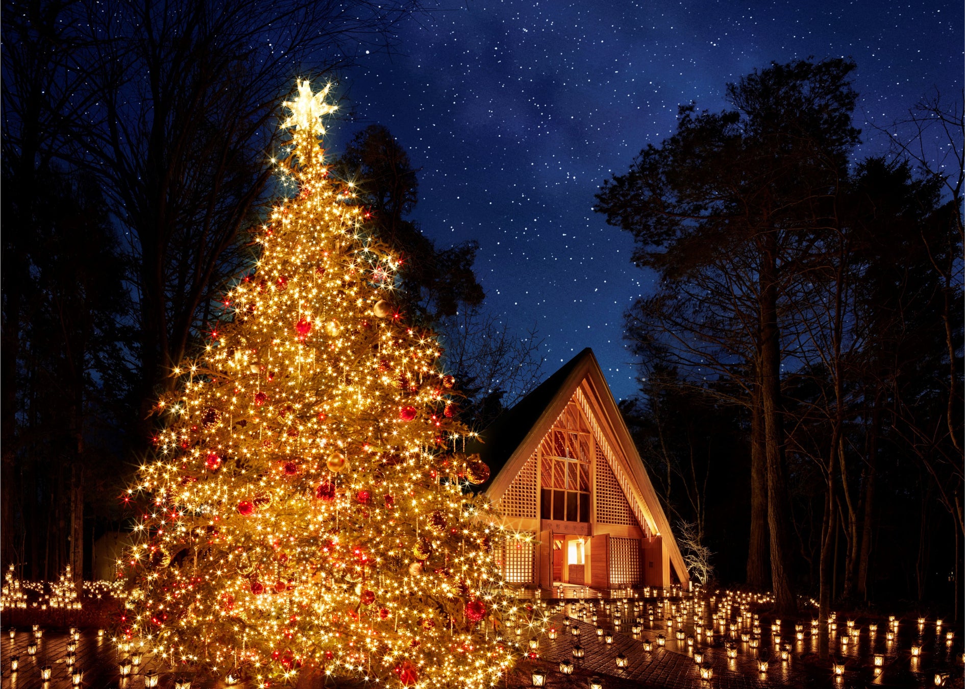 JO1とサンリオが共同開発したキャラクター「JOCHUM(ジェオチャム)」が初登場 心温まるクリスマスイベント「Puroland Illumination Christmas」11月7日(金)より開始