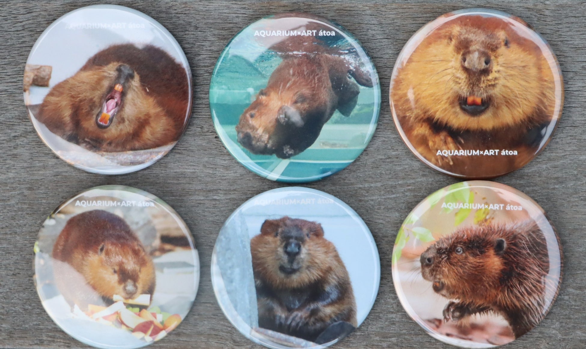 SNSで募集した「#第3弾アトア缶バッチ」のデザインが決定！【神戸の港の水族館 átoa】