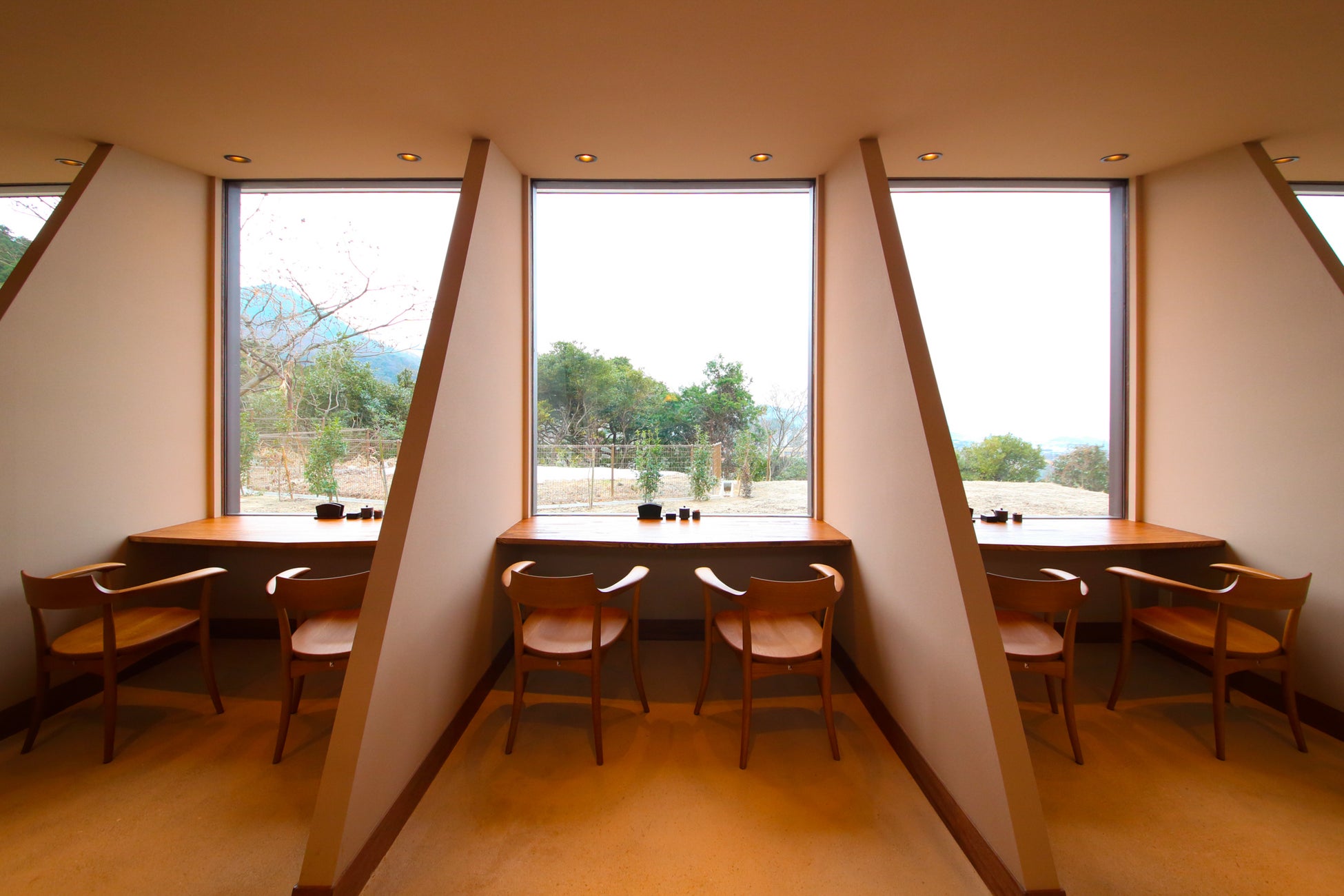 佐賀さいこうフェスに10周年記念プログラム「ブルーミングアート」が登場!佐賀城本丸広場が、8,000本の花が咲き誇り、花が音を奏でる巨大アート空間に変身