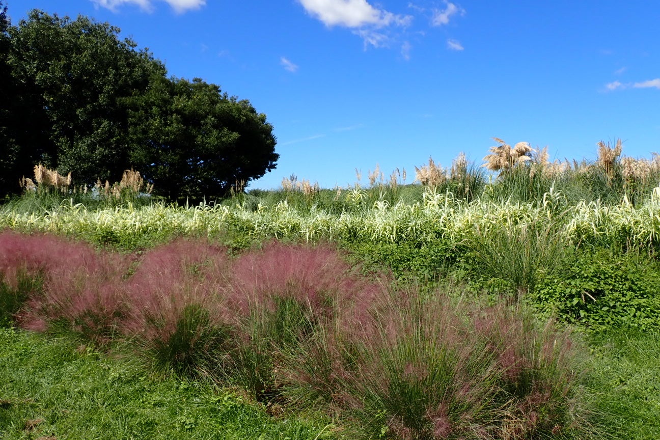【絶景日帰り温泉 龍宮殿本館】「こたつde恵方焼きいもスイーツ」を初提供！