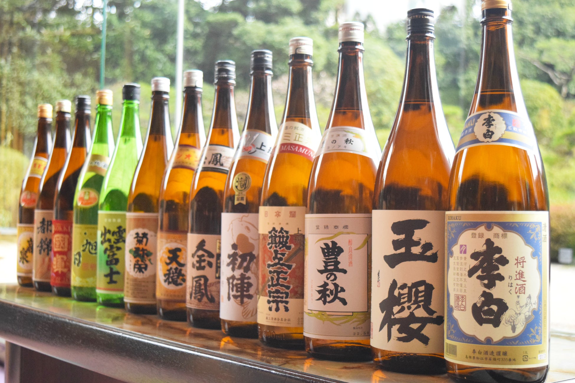 【日本旅行×WOWOW×イノベーションパートナーズ共同プロジェクト】『複住旅』第1弾 着地型体験ツアー「嬉野の本物に出会う旅」を発売!