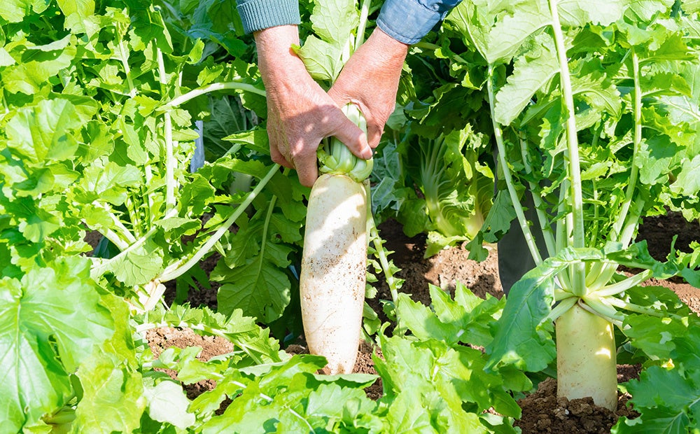 【和歌山県 × Nativ.media セミナー開催報告】食をテーマに「地域の仕事“ホンネ”サロン特別編」オンラインで開催