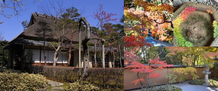 11月11日（火）は『超ニョロニョロの日』！当日はナイトパス1,100円！至るところでニョロニョロイベント開催！11月8日（土）～ 11月11日（火）の期間、パーク内ではニョロニョロが大発生！