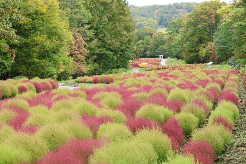 10月24日に「まちびらき」から5周年を迎える「ウォーターズ竹芝」昼は五感でつくる・まなぶ・あそぶ、夜は光が竹芝の水辺を彩る！ＷＡＴＥＲＳ ｔａｋｅｓｈｉｂａ「水辺の自由時間コレクション」