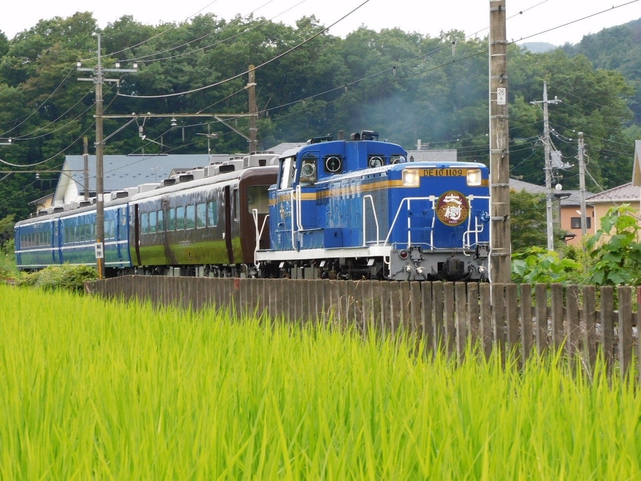 東京ミズマチ®とすみだリバーウォーク®周辺を竹あかりで温かく灯す「東京下町回遊　竹あかり」を開催します