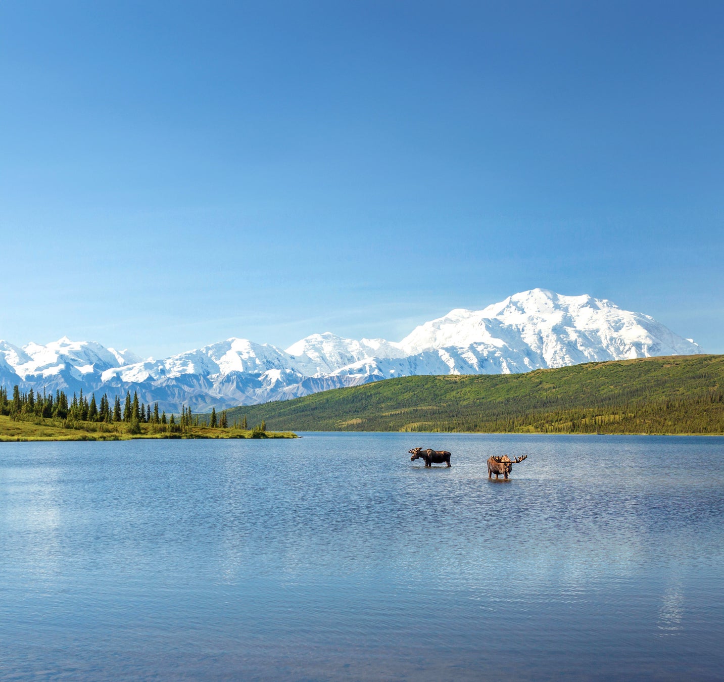 親子で“シシニク”体験！ユニトピアささやまCAMP & VILLAGEに、丹波篠山ならではのソーセージ作りプログラム誕生