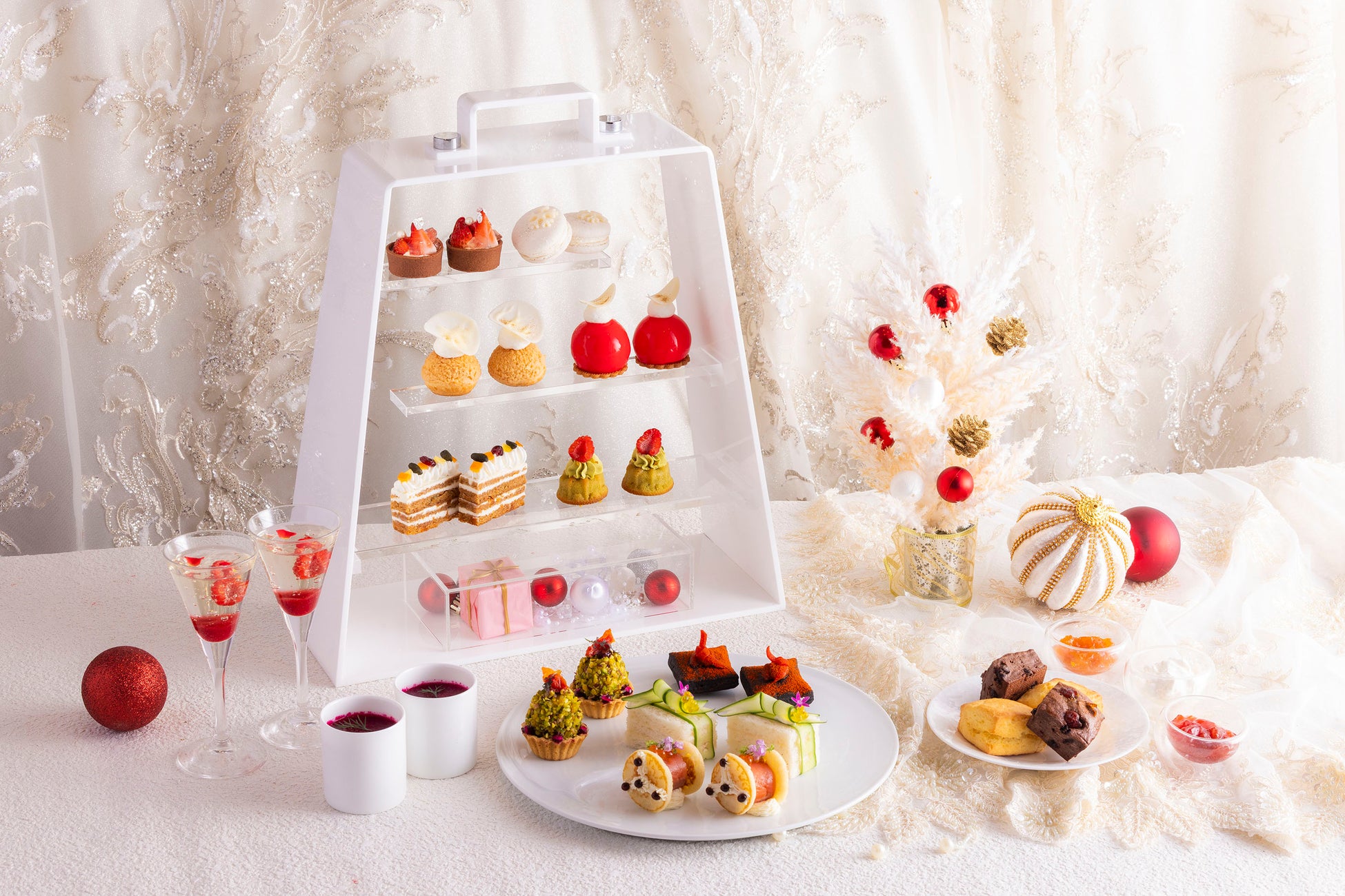 【横浜・八景島シーパラダイス】シーパラ初!神奈川県内唯一の展示!アメリカビーバー 仲間入り!【2025年10月11日(土)~】