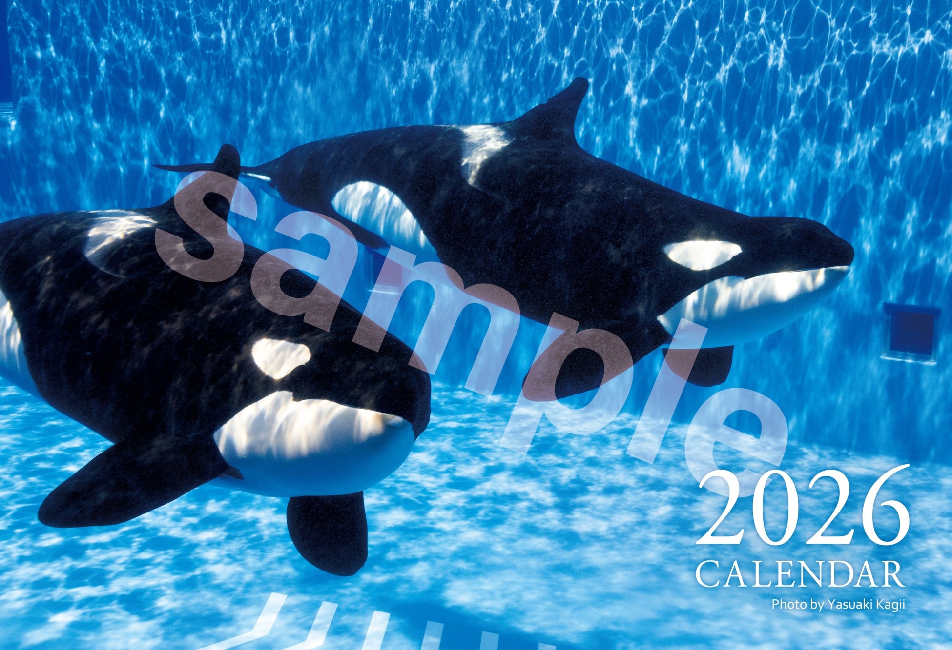 【ウェスティンホテル大阪】旬の果実がドレスアップ!「洋ナシのプリンセスパフェ」~甘く、華やぐ推し活~