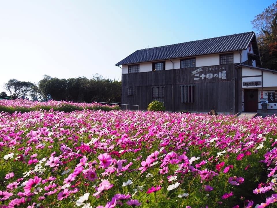 大人の修学旅行　離島 小豆島で味わう昭和ノスタルジックと紅葉の旅