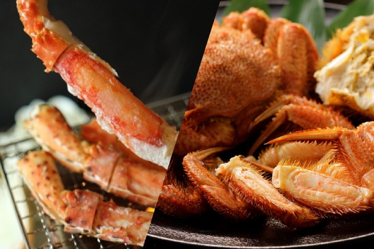 フォションホテル京都が10月14日～11月3日開催「第1回京都駅ビル芸術祭（ゲイジュツ ノ エキ　２０２５／GNE）」に出店