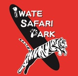 『アンベイル・ザ・ワールド × RED° TOKYO TOWER』2025年10月16日（木）、特別ドローンショー「巨塔への旅立ち」開催決定！