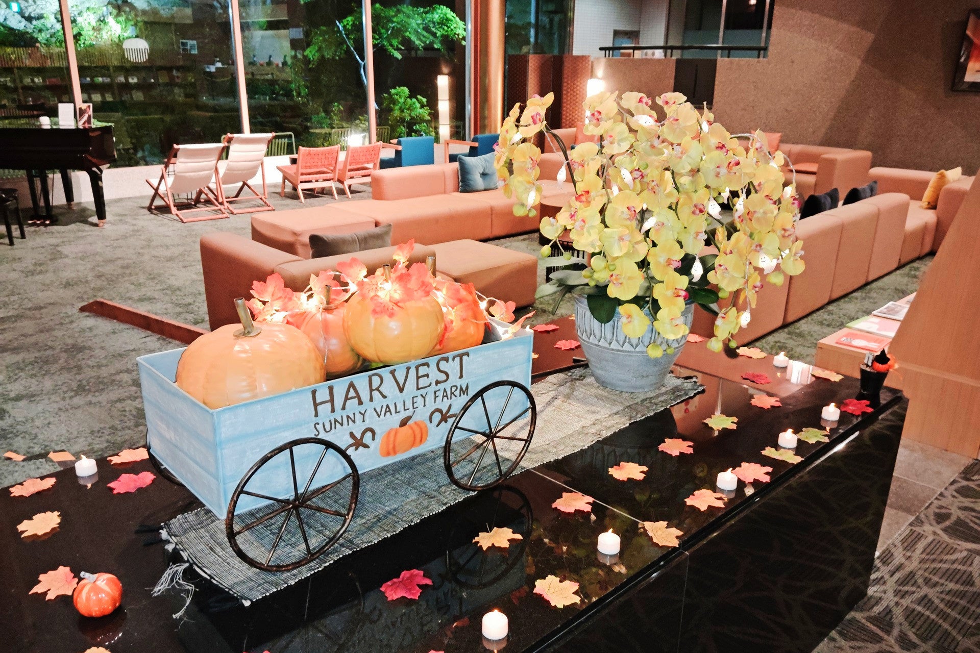 長崎県対馬（つしま）市では６名の地域おこし協力隊隊員を募集しています！