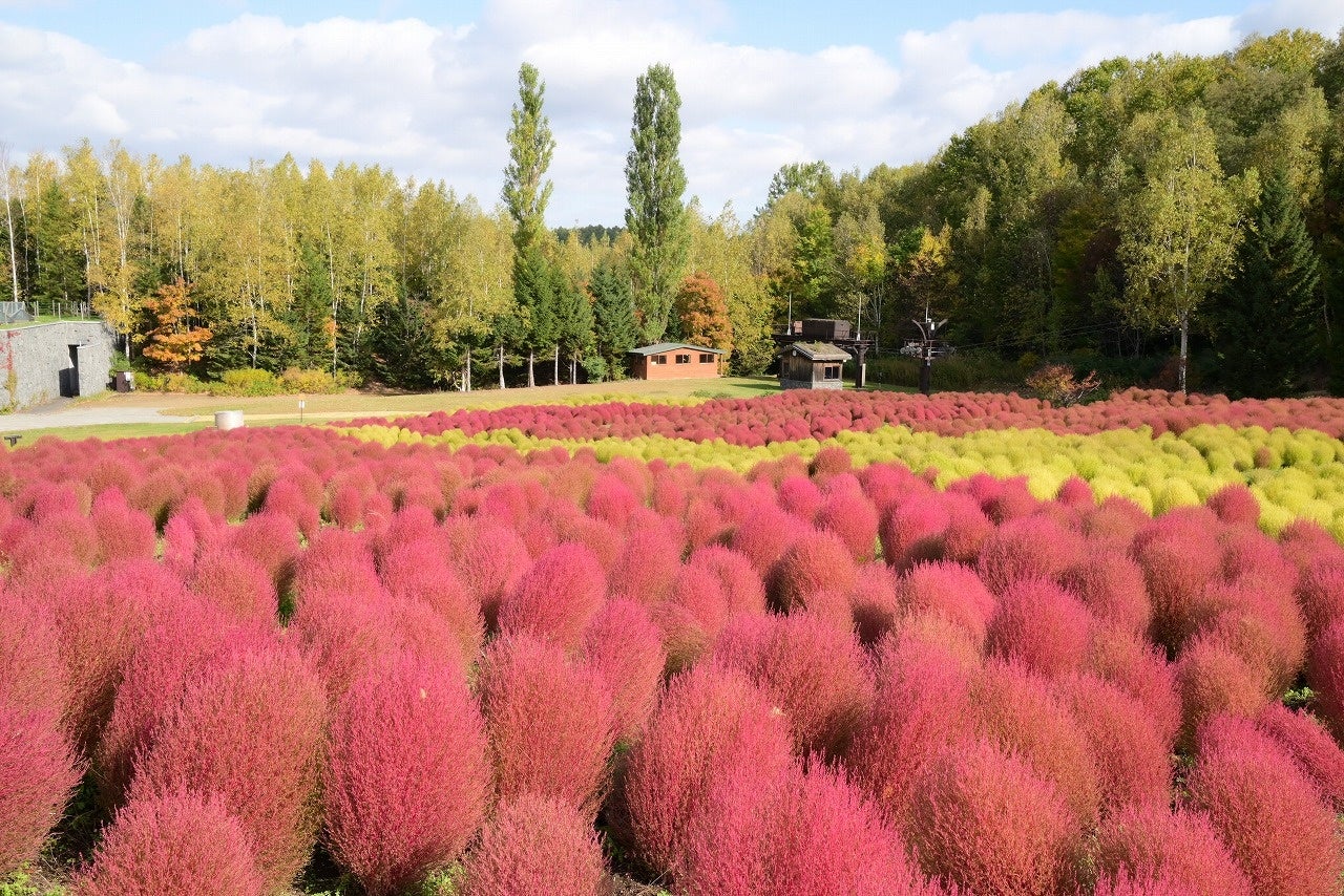 “音”とともに暮らす、新たな選択肢。