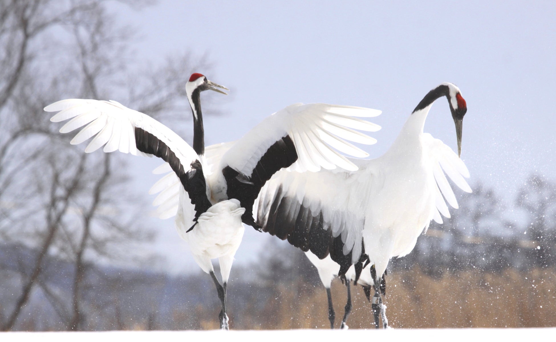 ”秋の夜長を楽しむ収穫祭”〜淡路島の廃校から生まれた交流の場「SAKIA」で、「第7回サキア祭」10/26(日）開催