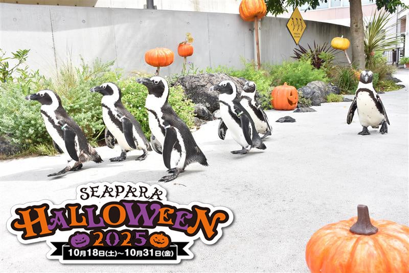 ヒルトン名古屋 エグゼクティブラウンジを移転リニューアルテーマは「WEEKEND HOUSE」 – 週末の家のような寛ぎを名古屋の中心で2025年11月月1日（土）よりご利用開始