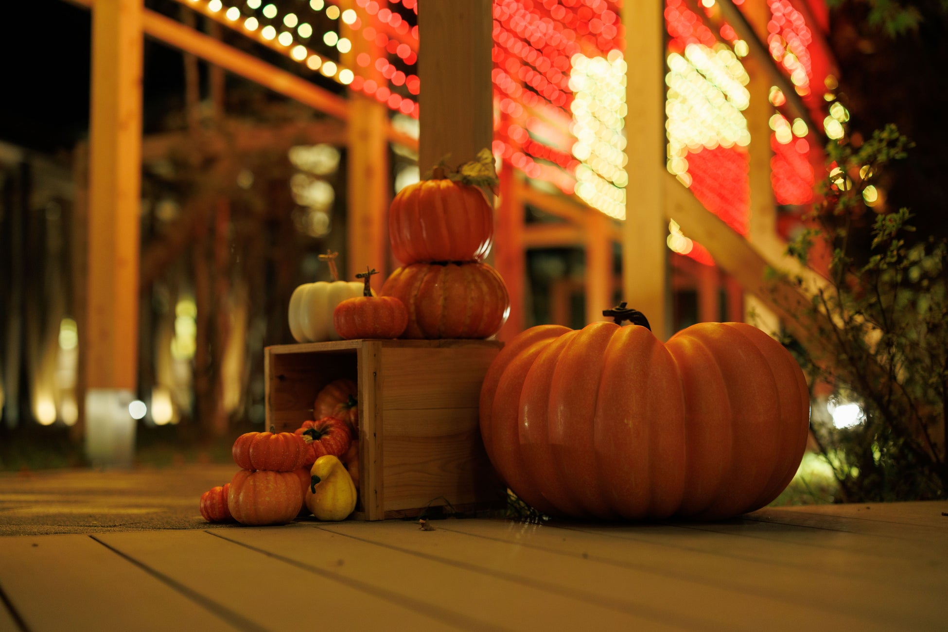 おかげさまで11周年!リニューアルから1年の感謝を込めて「銀座NAGANO感謝祭」を10月25日(土)・26日(日)に開催