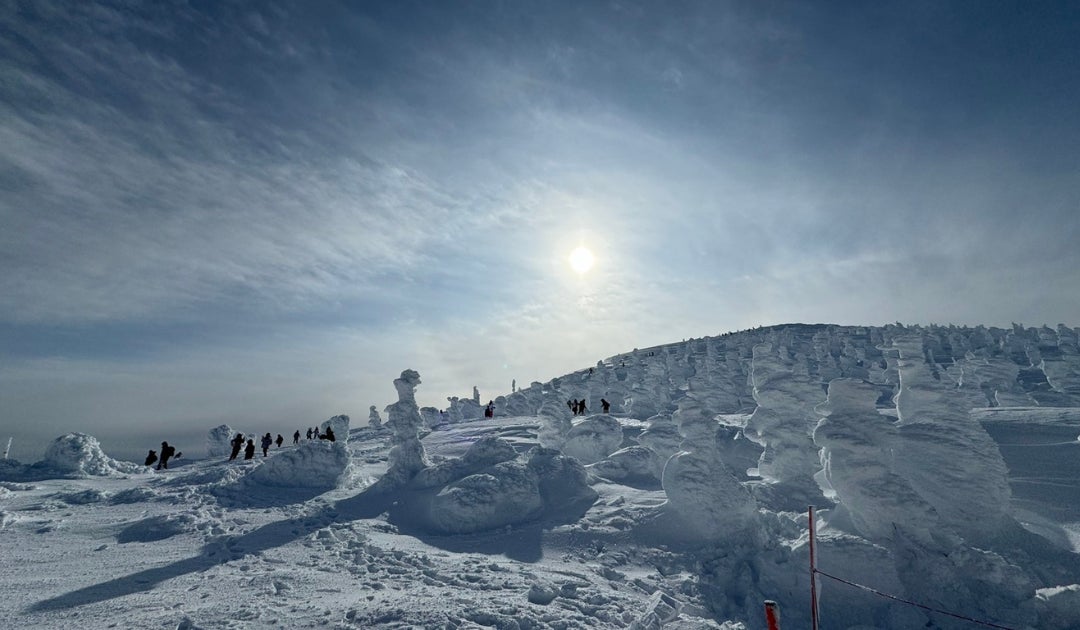 和歌山初出店！「リトルプラネット モンティグレ和歌山」2025年12月12日（金）オープン決定