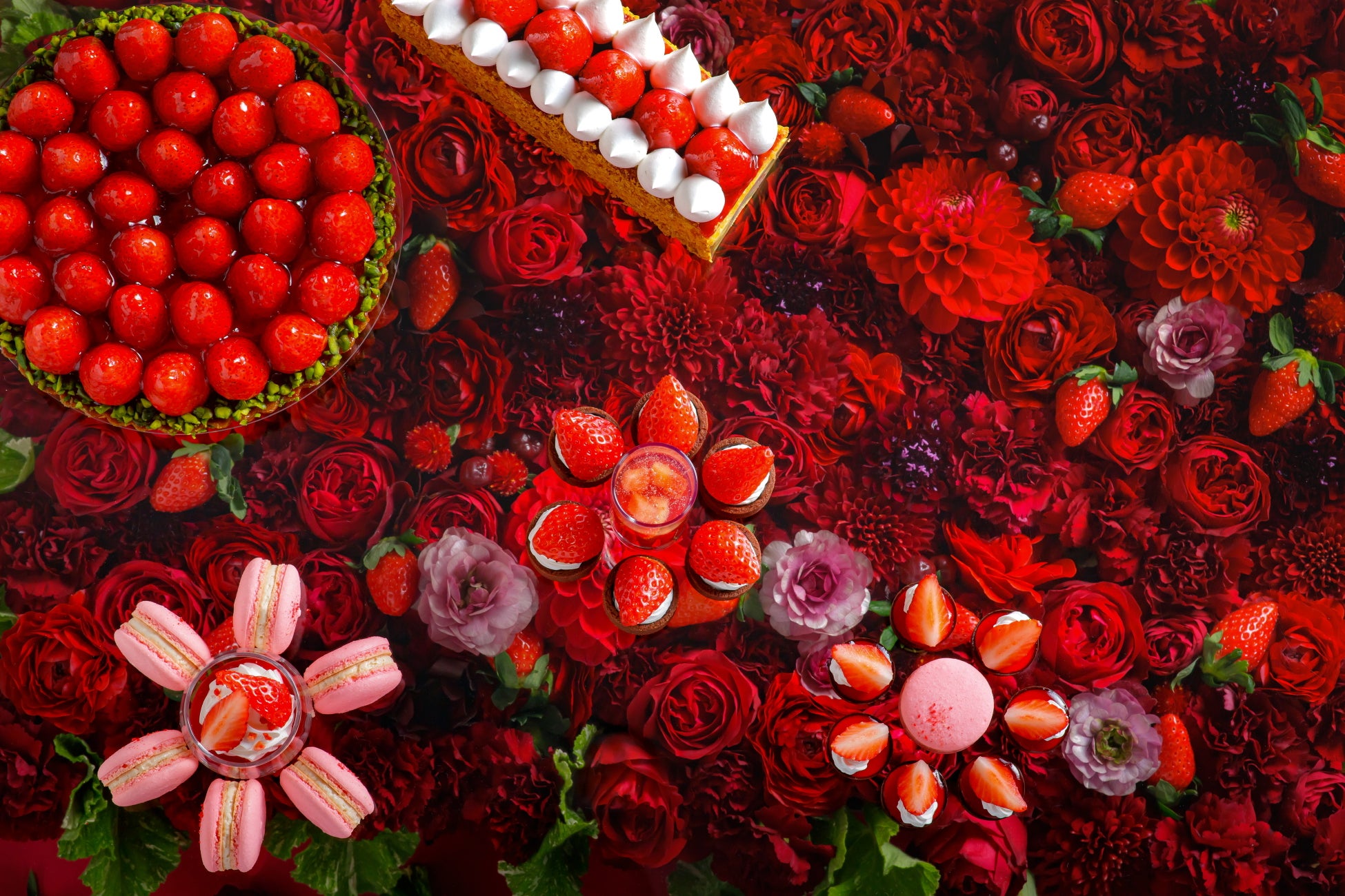 おふろcafe 白寿の湯にて、神川町の冬に咲く希少な「冬桜」を応援する「桜ひのき風呂」や「冬桜写真展」などを開催