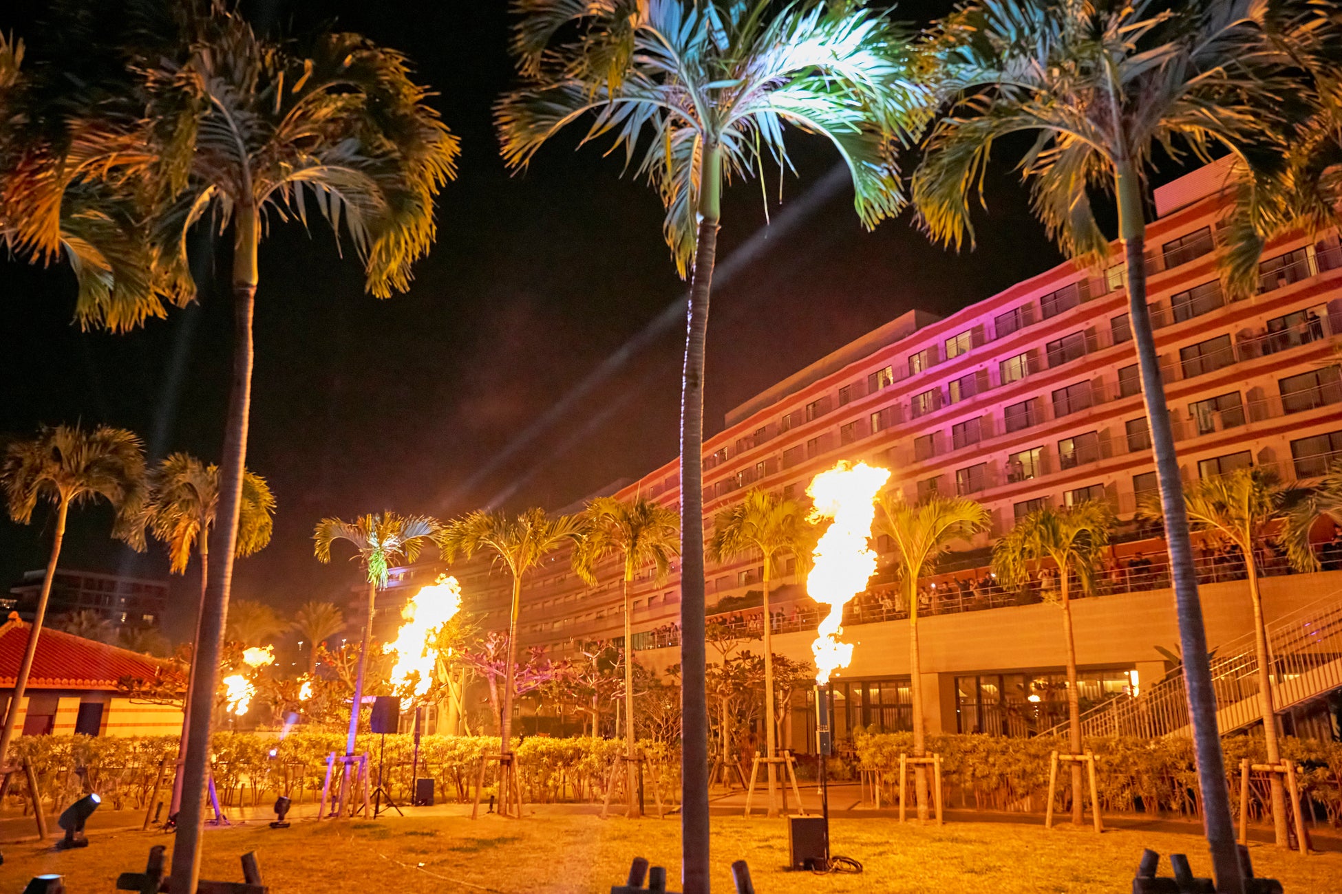 初の勝山DMO×恐竜博物館による企画！「恐竜博物館プレミアムナイトミュージアムツアー」を12月11日(木)～14日(日)に実施