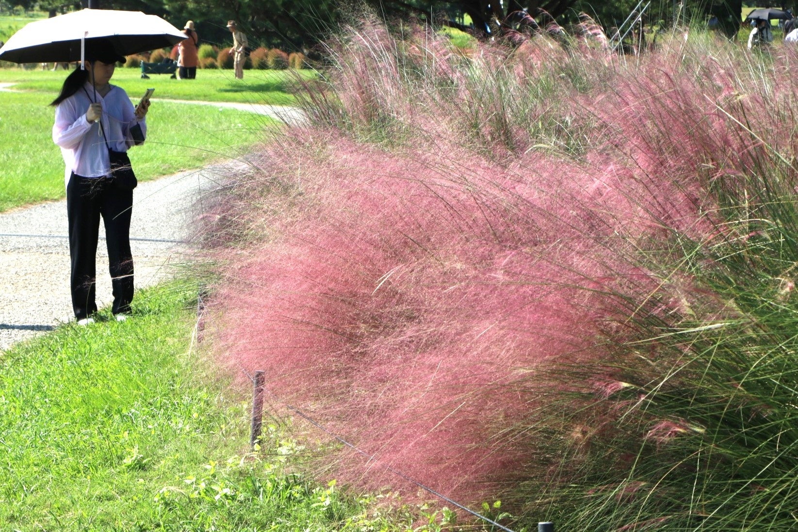 【モクシー大阪本町】8周年アニバーサリーパーティーを2025年11月1日（土）に開催