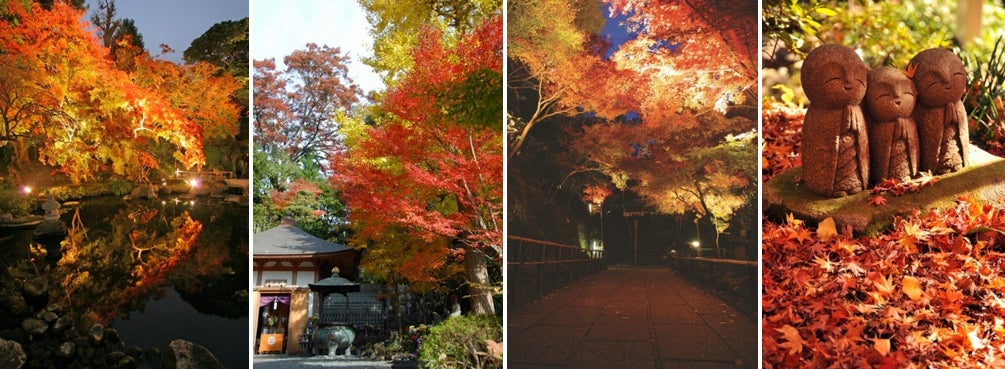 【参加無料】阪神高速×リアル謎解きゲーム「泉州編」と「神戸編」2つの謎解きを同時に開催!