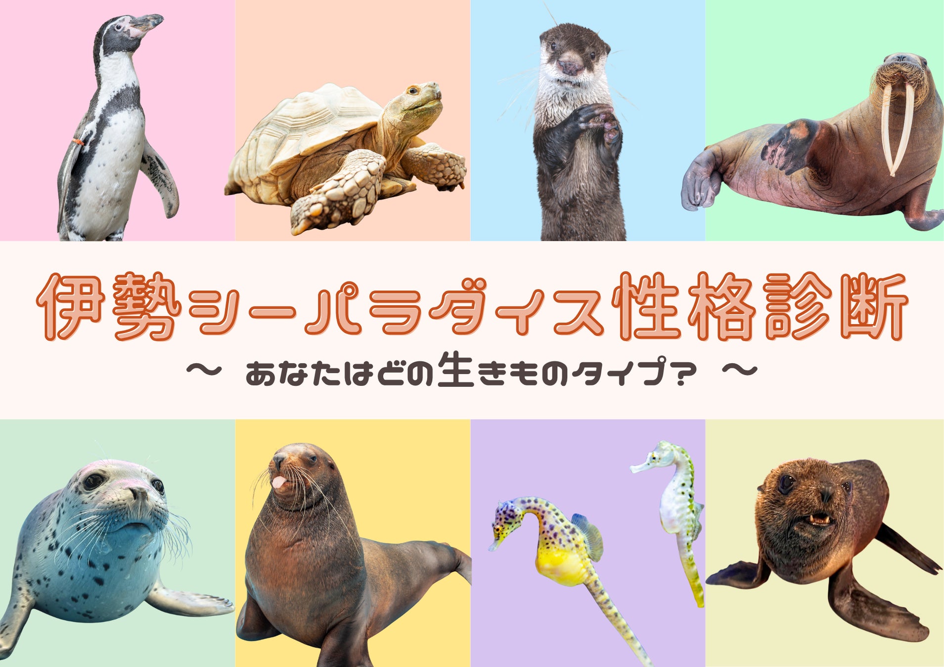 伊勢シーパラダイスオリジナルの性格診断が登場！