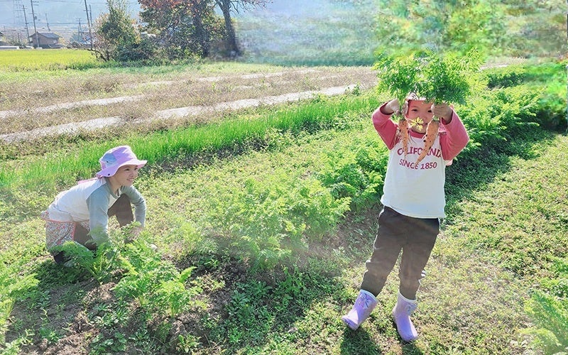 伊勢シーパラダイスオリジナルの性格診断が登場！